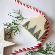 Load image into Gallery viewer, Christmas Tree Farm Soap Bar